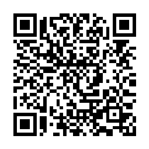 &nb如果要不是杨风对于毒物有着极其敏感的认识二维码生成