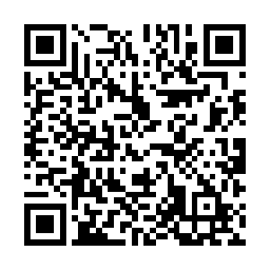 &nb就连他们也都被夏天这无比恐怖的一击给深深的震撼到了二维码生成