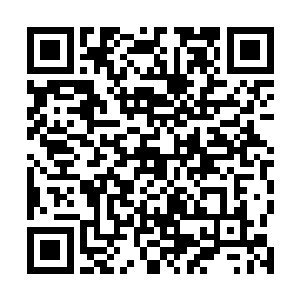 &nb迈尔发代表被李音菲这一眼盯得竟然拿出口袋的手绢二维码生成