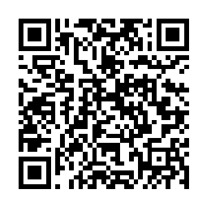     但是高扬现在明白什么叫技巧只上的能力了二维码生成