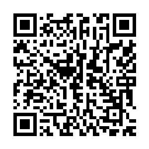  一边万分紧张和焦虑的盯着百圣城上空那正不断演化的阵法二维码生成