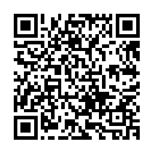 ――以上摘自帝进攻苏联之南方集群某部战士华竞欧的战地曰记二维码生成