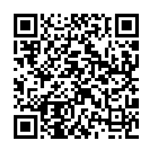 ――因被流放者解决了一部分人鱼族后代延续的问题二维码生成