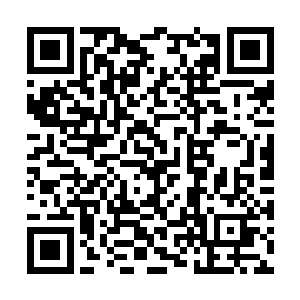 ――电影――――排名――上映周数――影院数量二维码生成