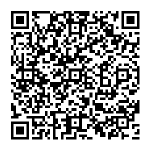 ……………………………………………………………………元心宗在浮天大陆只能算得上三流宗门二维码生成
