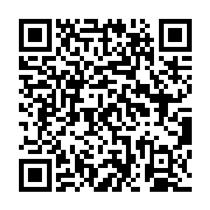 …………也实在是怪这厮生出的球市子不折不扣是金山银海二维码生成