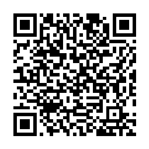 ……原来这小子现在没有八成以上的把握根本就不会落注二维码生成