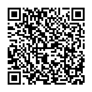 ……虽然强暴母猪这种罪名实在太过荒唐……但管他强暴母猪还是强暴母马呢二维码生成