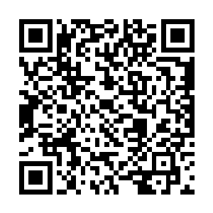 ←给之前的小毛啾以及世界树先生带来的小白球们的二维码生成