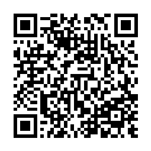 一股子不属于任仲的力量强势的冲入了他的神念海中二维码生成