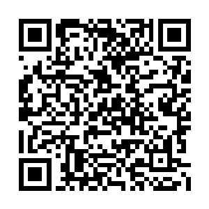 　　任仲从储物袋中拿出一只温青竹编成的竹塌二维码生成