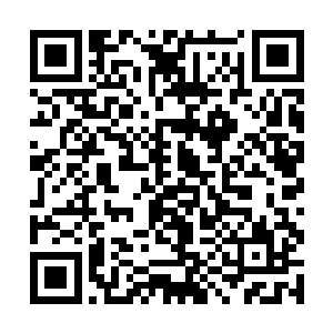 　　这少年自然是留在封魔阵边界为任仲护法的任九二维码生成