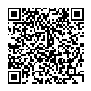 一下子就将周围的那些三瘤妖树呕吐出来的残渣什么的都统统卷进了嘴巴里面二维码生成