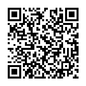 一不小心就会被什么地方冒出来的荆棘倒刺给刮破二维码生成