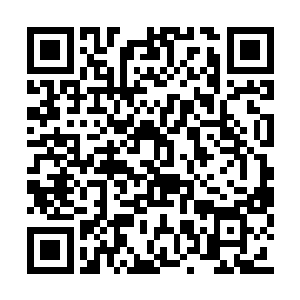 一个不属于他分明又是他的声音在识海内咆哮着二维码生成