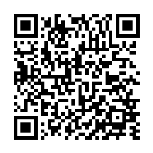 一个个模样的标致的女酒保排成队从侧门缓缓走了进来二维码生成