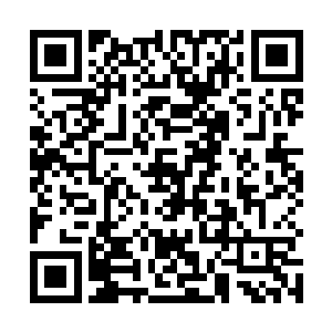 一个个目光充满尊敬的望着前方那座规模不算大的城池二维码生成