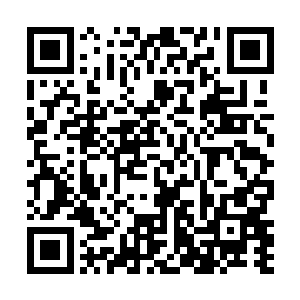 一个个眼珠子都快要瞪出来了……实在是眼前的这一幕二维码生成