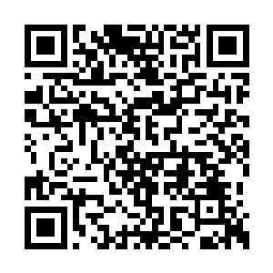 一个丹田开辟到第五形态代表完全领悟一条大道二维码生成