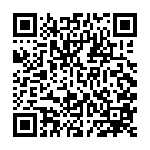 一个二十岁左右的有着神武境界实力的高手这就完全不一样了二维码生成