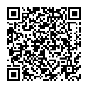 一个人的性格不可能因为被赶出家门仅仅几天的时间而产生天翻地覆的差距二维码生成