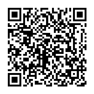 一个传承亿万年的种族全部加起来只有十多万……只能说十分稀少二维码生成