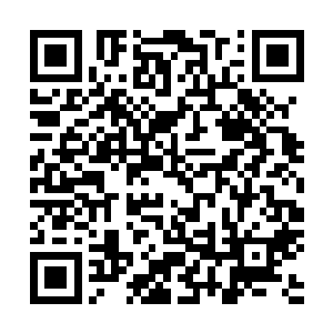 一个偶然的机会他从左少卿口中得到了楚飞雄的一个大秘密二维码生成