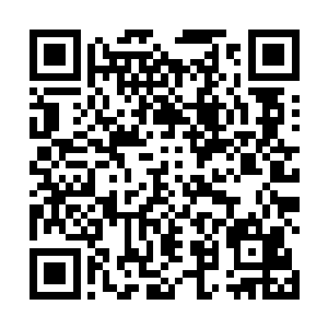 一个县委书记怎么会沦落到牵扯如此多的刑事犯罪中去二维码生成