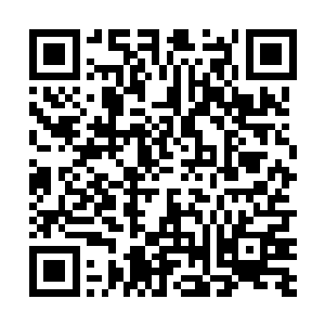 一个学生模样的年轻人跟随项渊老人注视着眼前的蟒蛇二维码生成