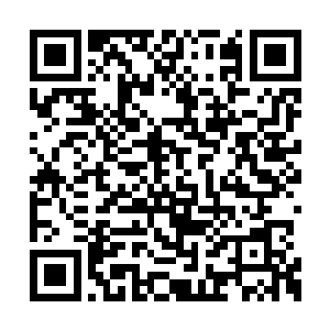 一个富丽堂皇的拍卖行瞬间变的破破烂烂了起来二维码生成