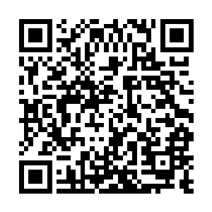 一个小孩和一只娇生惯养的喵星人的脚程自然不会很好二维码生成