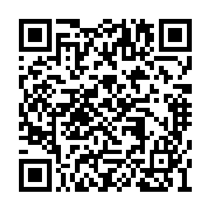 一个小小的黑影从消失了的翠鸟身体的位置出现二维码生成