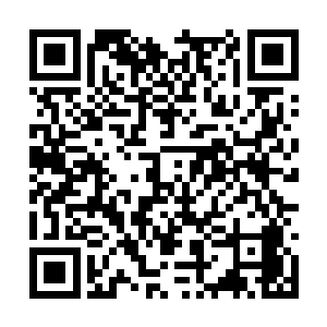 一个巨人族族长却像一个弟子一样在这里等候三日二维码生成