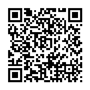 一个拥有界的修士完全可以碾压一个没有界的修士二维码生成