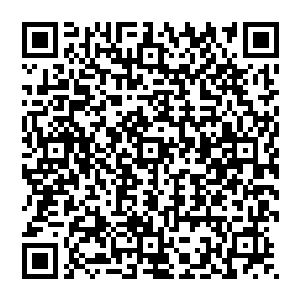 一个新手就算再卖力也不可能短短几天就能象已经在这行当里摸爬滚打几十年的老手一样应裕自如二维码生成