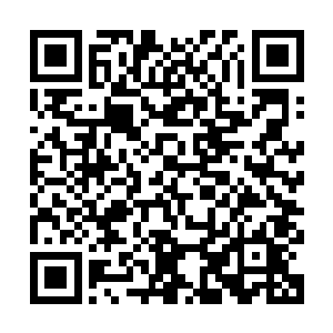 一个无上真仙在万里之外向一个紫府发起的攻击能够被轻易抵抗二维码生成