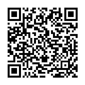 一个有着百米之深巨坑浮现在他们的视线之中最强反恐精英二维码生成
