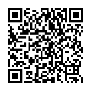 一个样貌英俊戴着眼镜的家伙出现在众人的眼帘二维码生成