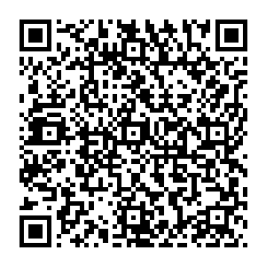 一个比他还要更快的身影裹挟着一股令黑夜这样的大师级巅峰的强者都要感觉到颤栗的恐怖攻击力二维码生成