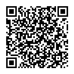 一个浩瀚广博全部由各种各样灵药组成的山谷出现在了三人的面前二维码生成