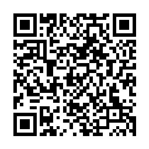 一个满脸是血的看着我和黄杰――那一砖的效果还蛮好二维码生成