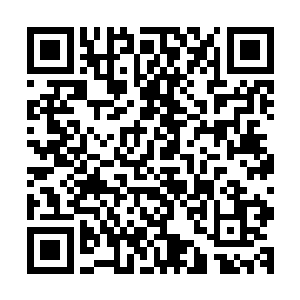 一个漂亮的女拍卖师在台上卖力的主持着这件白银秘藏的拍卖二维码生成