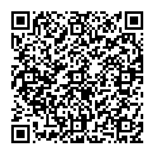 一个穿着兽皮的粗壮大汉背着一把粗大的猎弓站在松树下冷冷的看着地平线上慢慢前行的车队二维码生成