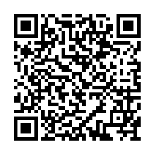 一个类似于法杖一样的武器幻化出现在他的手中二维码生成