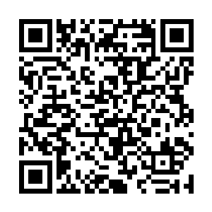 一个细小的黑点忽然透过叶子出现在他们的视线中了二维码生成