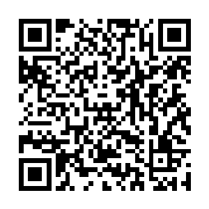 一个荒谬而又可怕的念头出现在了杨戬的脑海之中二维码生成