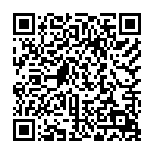 一个重要原因是没有一所大学能够按照培养科学技术发明创造人才的模式去办学二维码生成