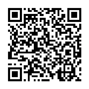 一些低阶神修已经禁不住杀戮之意的侵蚀与战魂鼓鼓声蛊惑二维码生成