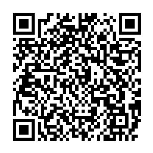 一些受伤的荒兽强者可是大补之物他们可是能够通过互相吞噬来进化的二维码生成