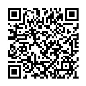 一人一鬼便再次展开了第一次相见时的抓捕游戏二维码生成